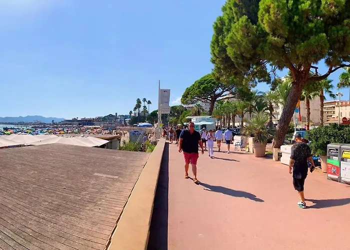 Apartment Centre Proche Croisette Palais Des Festivals Cannes