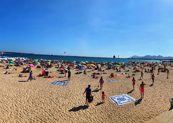 Centre Proche Croisette Palais Des Festivals Cannes